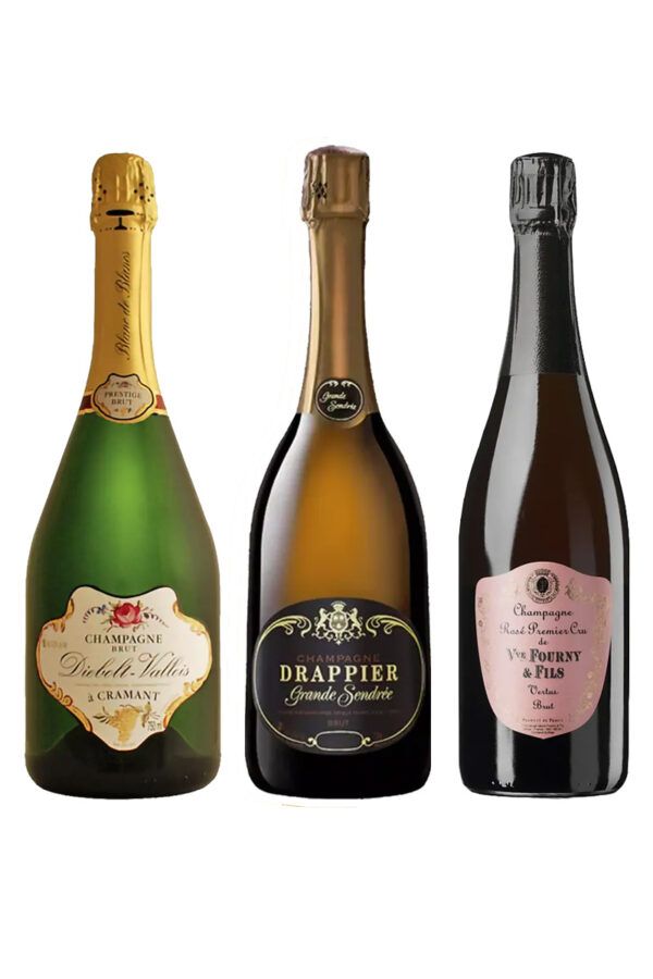3 Top-Champagner im Paket